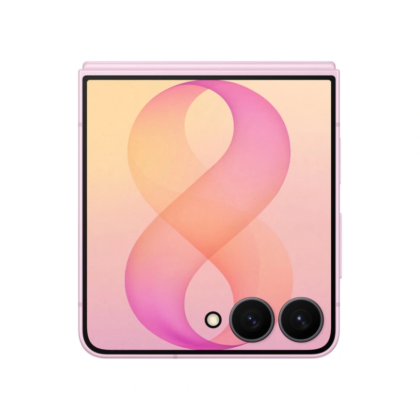 Смартфон Samsung Galaxy Z Flip8 SM-F776B 12/512GB Pink фото 9